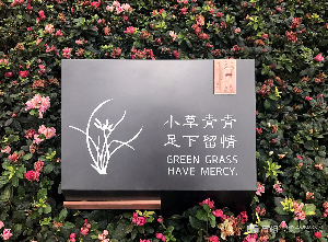 地產(chǎn)項(xiàng)目導(dǎo)視二